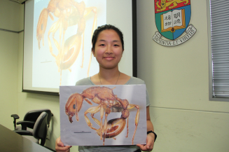 Ms Ying Luo, research assistant of the HKU School of Biological Sciences